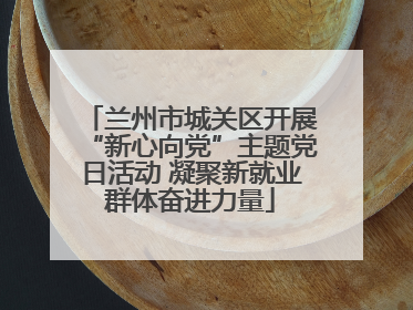 兰州市城关区开展“新心向党”主题党日活动 凝聚新就业群体奋进力量