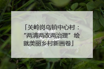 关岭岗乌镇中心村：“两清两改两治理”绘就美丽乡村新画卷