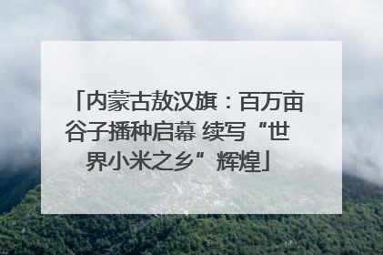 内蒙古敖汉旗：百万亩谷子播种启幕 续写“世界小米之乡”辉煌