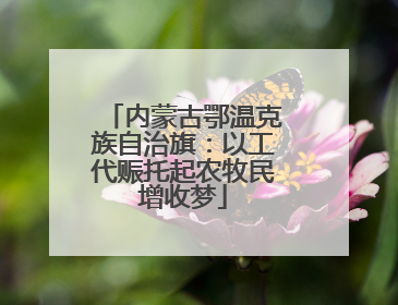 内蒙古鄂温克族自治旗：以工代赈托起农牧民增收梦