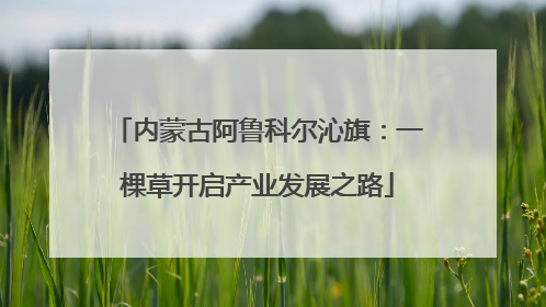 内蒙古阿鲁科尔沁旗：一棵草开启产业发展之路