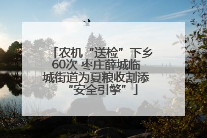 农机“送检”下乡60次 枣庄薛城临城街道为夏粮收割添“安全引擎”