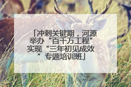 冲刺关键期，河源举办“百千万工程”实现“三年初见成效”专题培训班