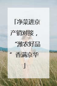 净菜进京产销对接，“潍农好品”香满京华