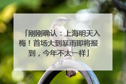 刚刚确认：上海明天入梅！首场大到暴雨即将报到，今年不太一样