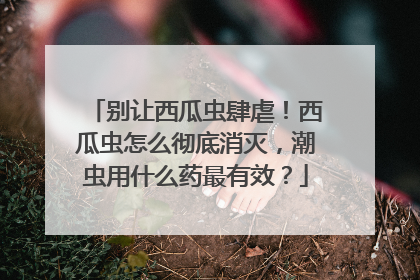 别让西瓜虫肆虐！西瓜虫怎么彻底消灭，潮虫用什么药最有效？