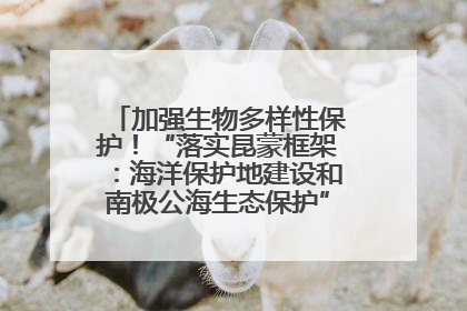 加强生物多样性保护！“落实昆蒙框架：海洋保护地建设和南极公海生态保护”主题论坛将举办