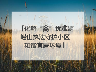 化解“禽”扰难题 崂山执法守护小区和谐宜居环境