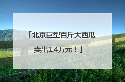 北京巨型百斤大西瓜卖出1.4万元！