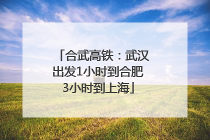 合武高铁：武汉出发1小时到合肥3小时到上海