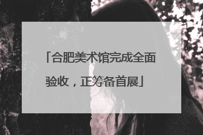 合肥美术馆完成全面验收，正筹备首展