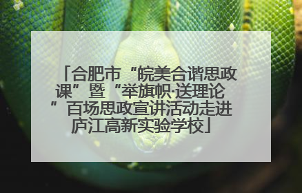 合肥市“皖美合谐思政课”暨“举旗帜·送理论”百场思政宣讲活动走进庐江高新实验学校