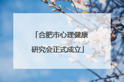 合肥市心理健康研究会正式成立
