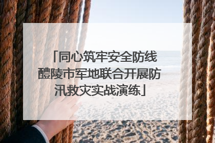 同心筑牢安全防线 醴陵市军地联合开展防汛救灾实战演练