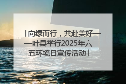 向绿而行，共赴美好——叶县举行2025年六五环境日宣传活动