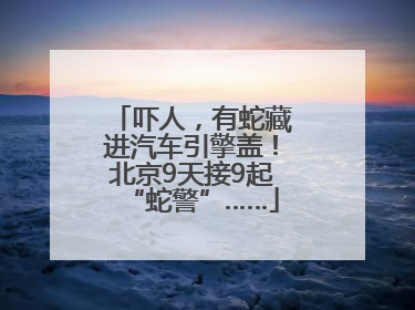 吓人，有蛇藏进汽车引擎盖！北京9天接9起“蛇警”……