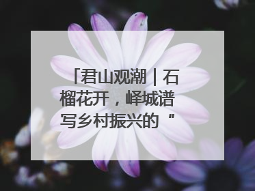 君山观潮｜石榴花开，峄城谱写乡村振兴的“新”篇章