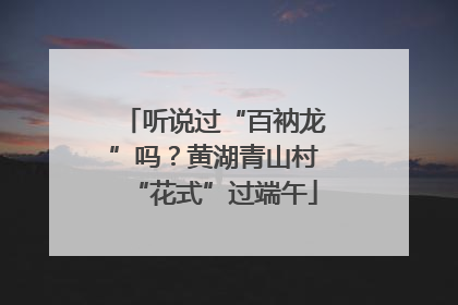 听说过“百衲龙”吗？黄湖青山村“花式”过端午