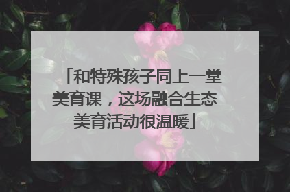 和特殊孩子同上一堂美育课，这场融合生态美育活动很温暖