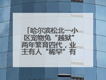 哈尔滨松北一小区宠物兔“越狱”两年繁育四代，业主有人“稀罕”有人忧，专家提醒