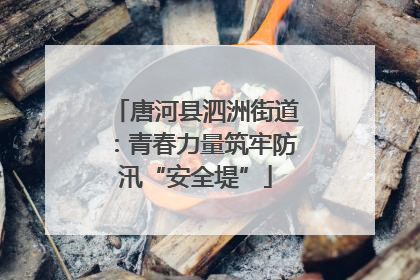 唐河县泗洲街道：青春力量筑牢防汛“安全堤”