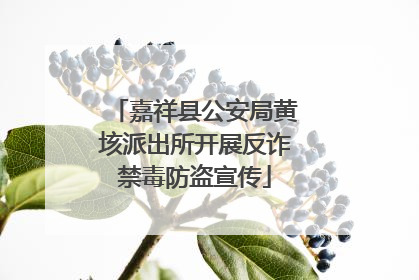 嘉祥县公安局黄垓派出所开展反诈禁毒防盗宣传