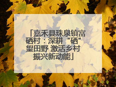 嘉禾县珠泉镇富硒村：深耕“硒”望田野 激活乡村振兴新动能