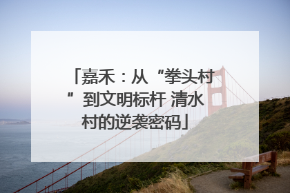 嘉禾：从“拳头村”到文明标杆 清水村的逆袭密码