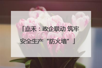 嘉禾：政企联动 筑牢安全生产“防火墙”
