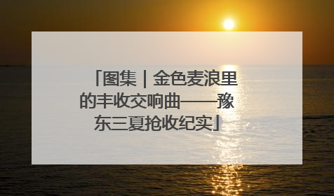 图集｜金色麦浪里的丰收交响曲——豫东三夏抢收纪实