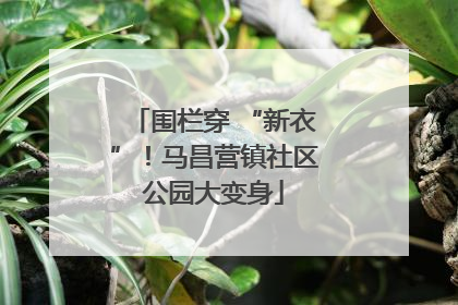 围栏穿 “新衣”！马昌营镇社区公园大变身