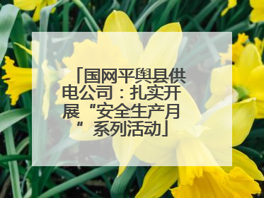 国网平舆县供电公司：扎实开展“安全生产月”系列活动