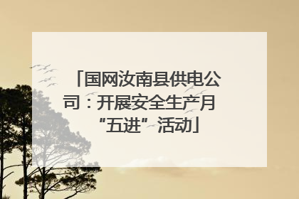 国网汝南县供电公司：开展安全生产月“五进”活动