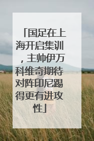 国足在上海开启集训，主帅伊万科维奇期待对阵印尼踢得更有进攻性