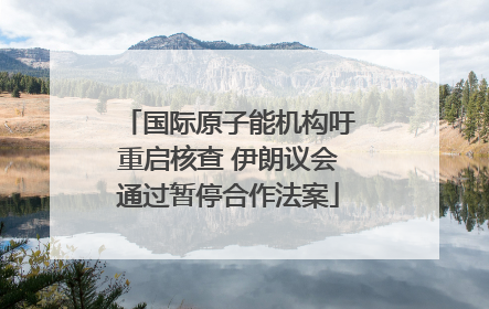 国际原子能机构吁重启核查 伊朗议会通过暂停合作法案