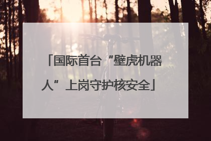国际首台“壁虎机器人”上岗守护核安全