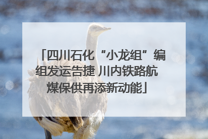 四川石化“小龙组”编组发运告捷 川内铁路航煤保供再添新动能