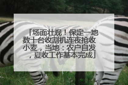 场面壮观！保定一地数十台收割机连夜抢收小麦，当地：农户自发，夏收工作基本完成