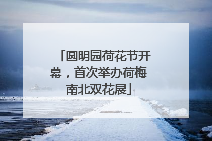 圆明园荷花节开幕，首次举办荷梅南北双花展