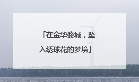 在金华婺城，坠入绣球花的梦境