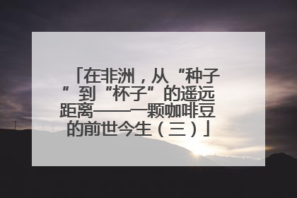 在非洲，从“种子”到“杯子”的遥远距离——一颗咖啡豆的前世今生（三）