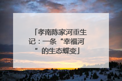 孝南陈家河重生记：一条“幸福河”的生态蝶变