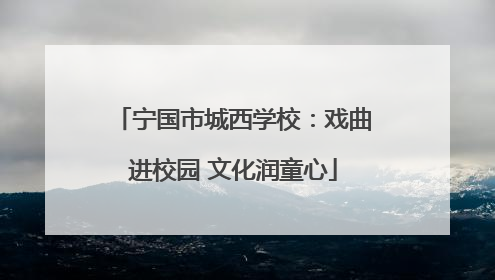 宁国市城西学校：戏曲进校园 文化润童心