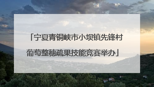 宁夏青铜峡市小坝镇先锋村葡萄整穗疏果技能竞赛举办