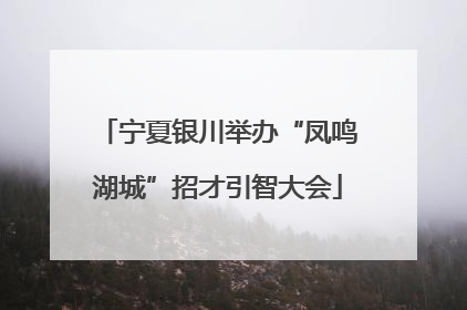 宁夏银川举办“凤鸣湖城”招才引智大会