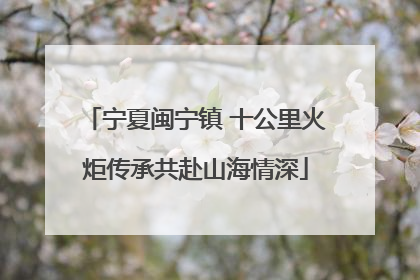 宁夏闽宁镇 十公里火炬传承共赴山海情深