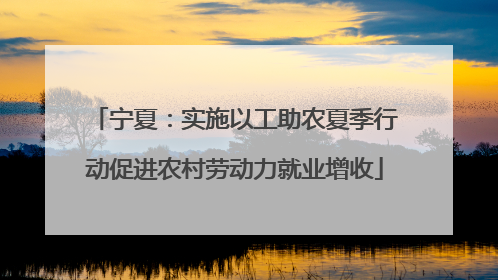 宁夏：实施以工助农夏季行动促进农村劳动力就业增收