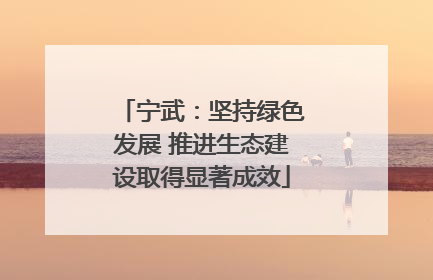 宁武：坚持绿色发展 推进生态建设取得显著成效