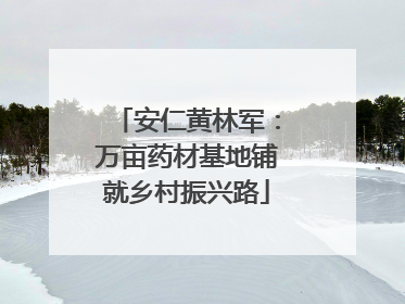 安仁黄林军：万亩药材基地铺就乡村振兴路