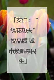 安仁：“绣花功夫”提品质 城市焕新惠民生